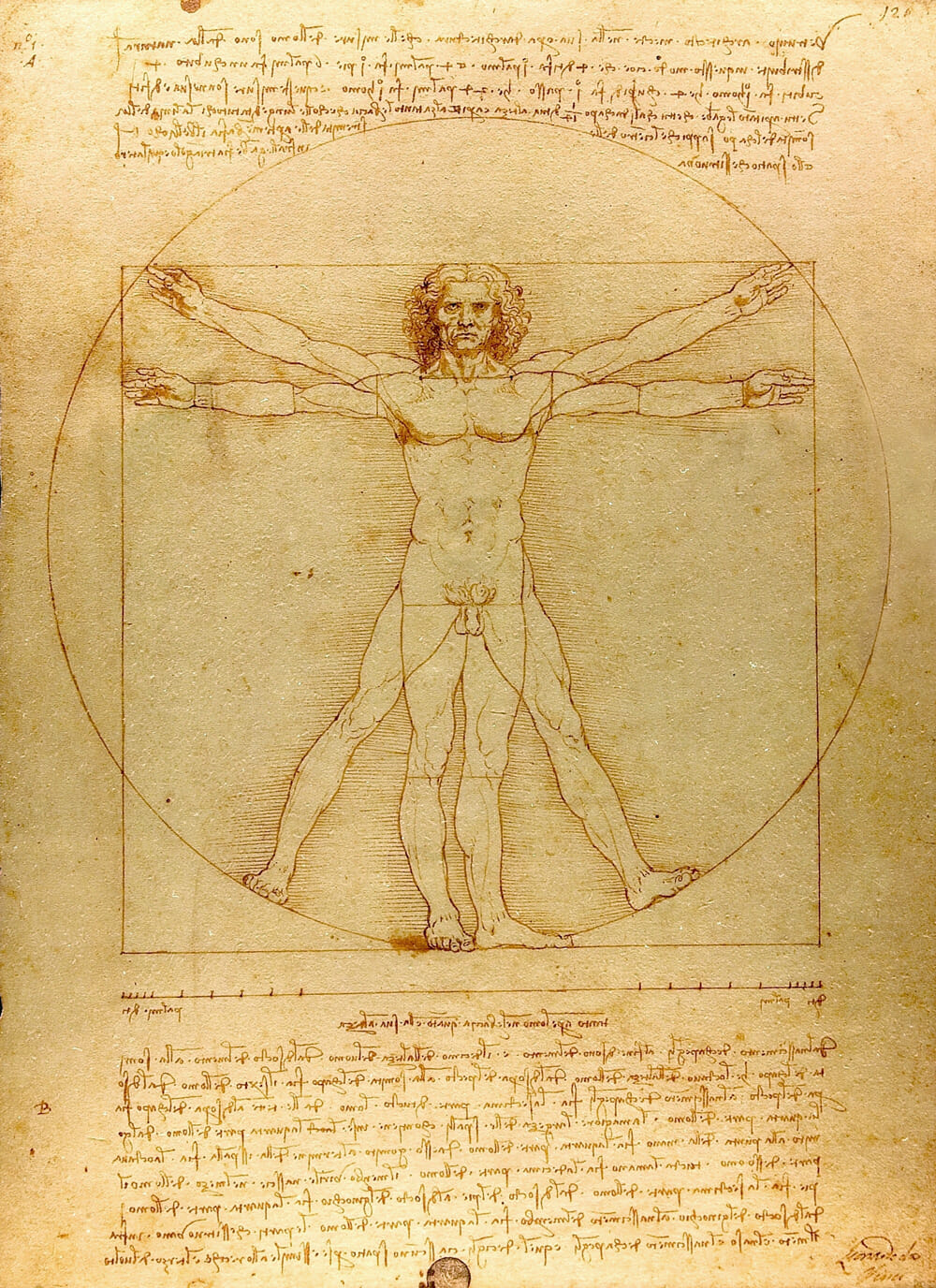 ภาพ ‘Vitruvian Man’ หนึ่งในผลงานของเลโอนาร์โด ดา วินชี ที่แสดงความเชื่อมโยงระหว่างศิลปะและวิทยาศาสตร์ ที่มา: wikipedia