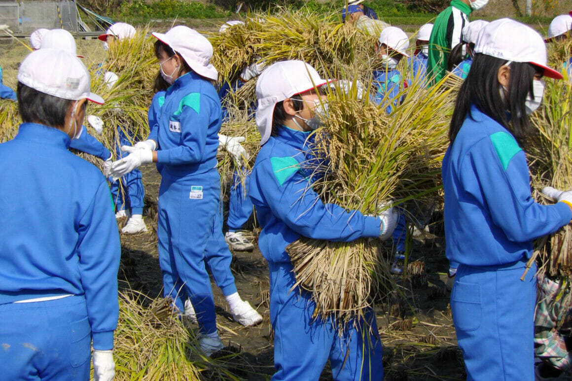 Okayama Project เมืองญี่ปุ่นอุ่นสบาย ทุกฝ่ายผนึกกำลังสร้างห้องเรียนธรรมชาติให้เด็กๆ