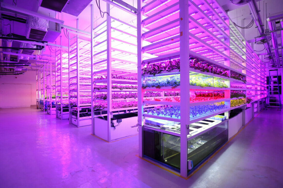 Smart Urban Farming เทคโนโลยีล้ำสมัย สร้างพื้นที่ปลูกผักปลูกใจให้คนฮ่องกง