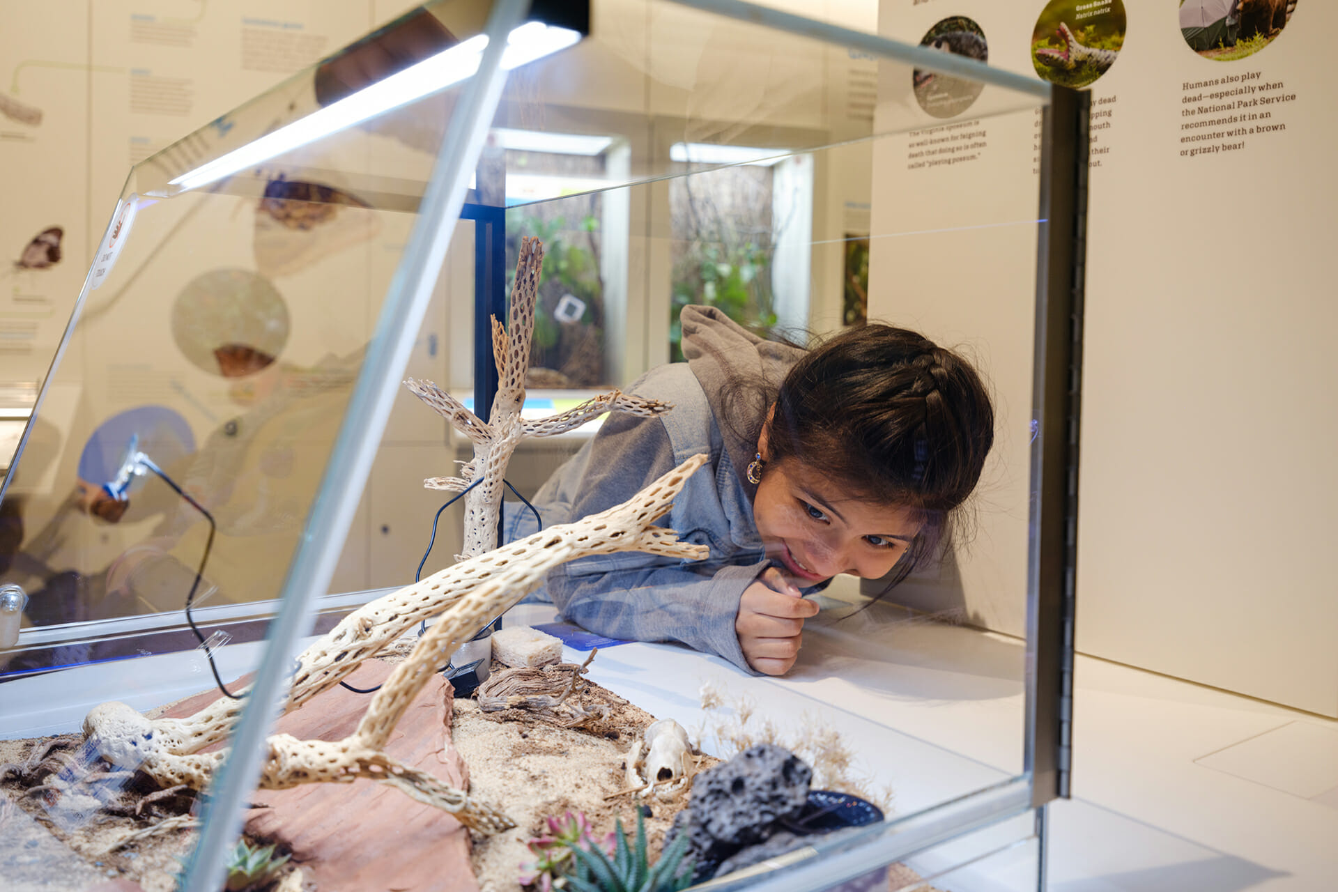 The American Museum of Natural History เพชรยอดมงกุฎแห่งพิพิธภัณฑ์ด้านธรรมชาติวิทยา