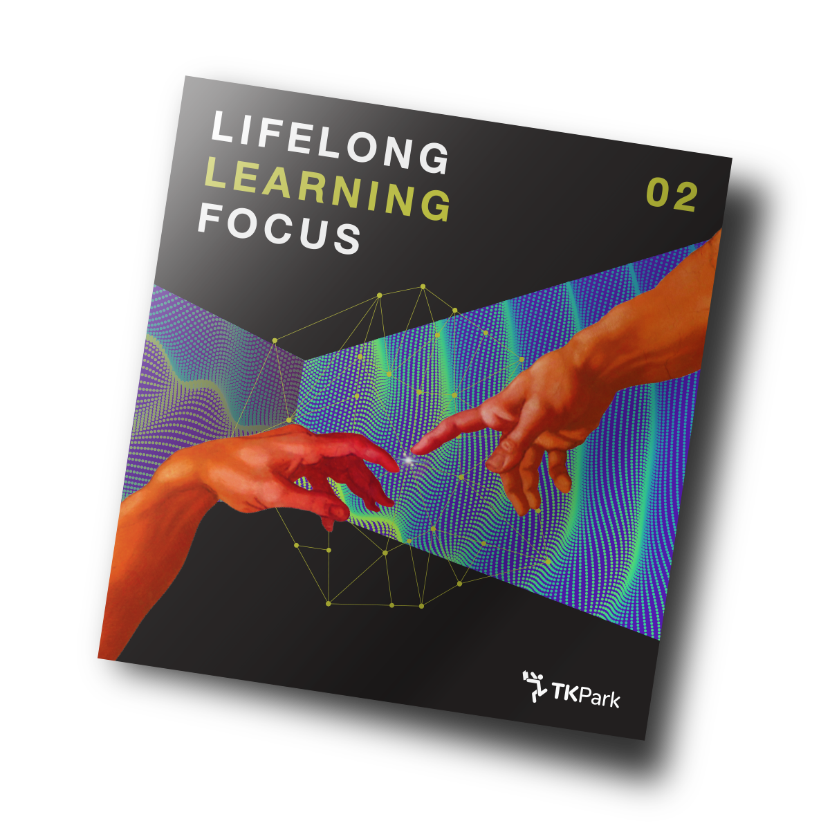 Lifelong Learning Focus issue 02