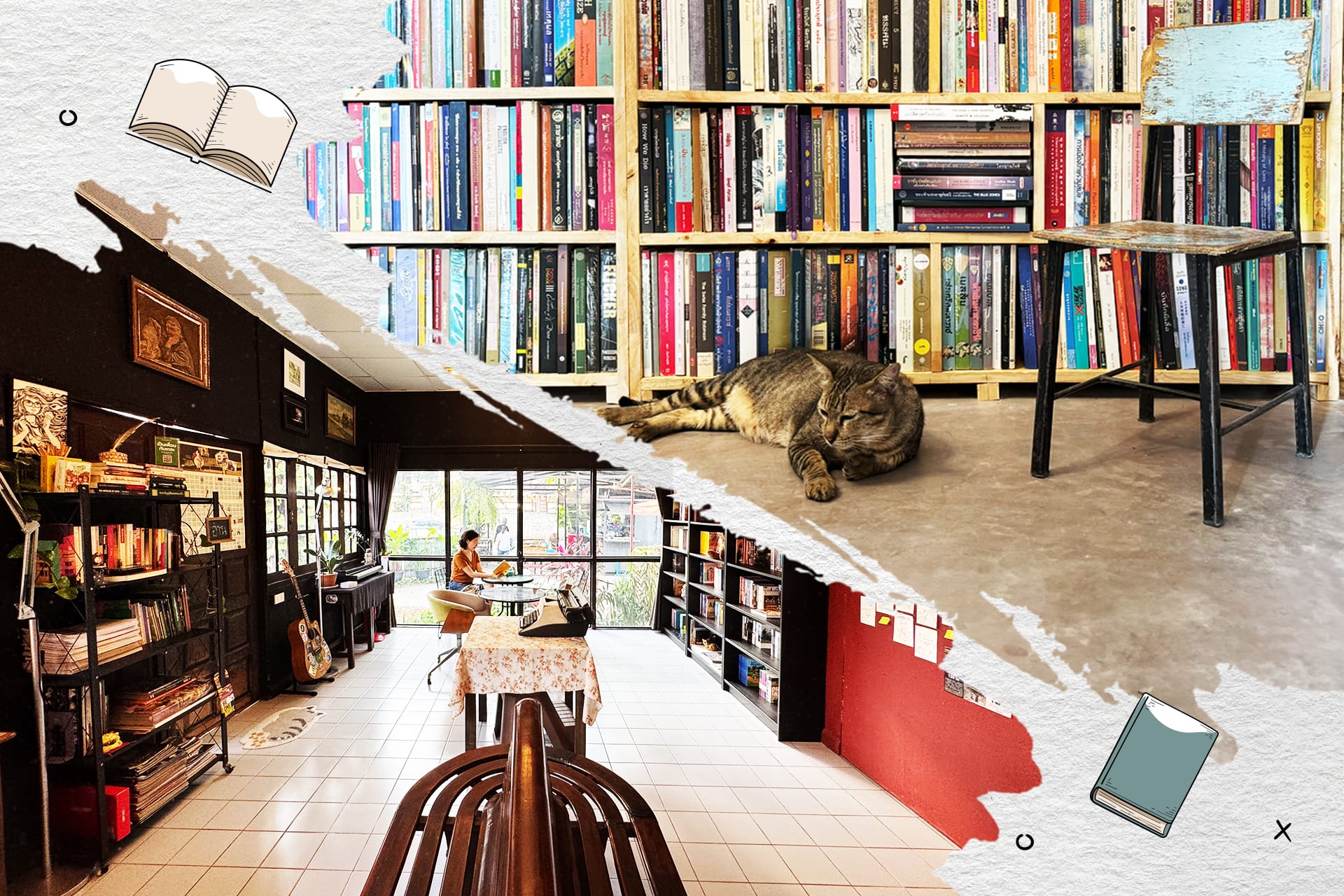 ‘หมาป่า vs. แมวผี’ สองร้านหนังสือสองแนวทาง ภาพสะท้อนการอ่านของคนขอนแก่น